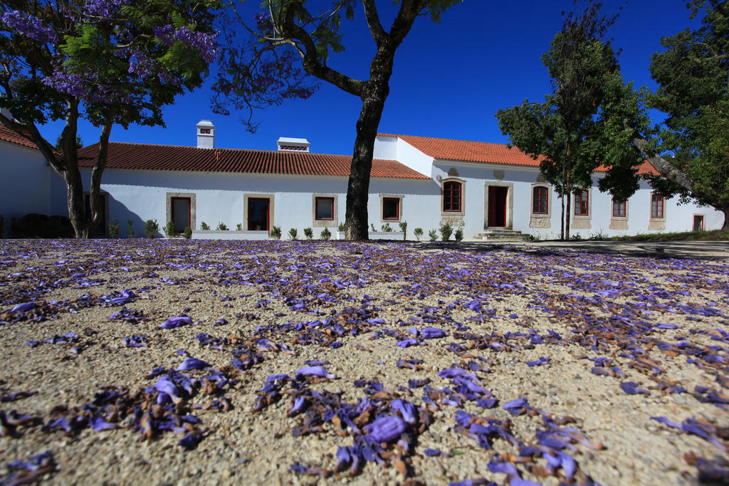 Quinta Da Lapa Hotel Manique do Intendente Eksteriør billede